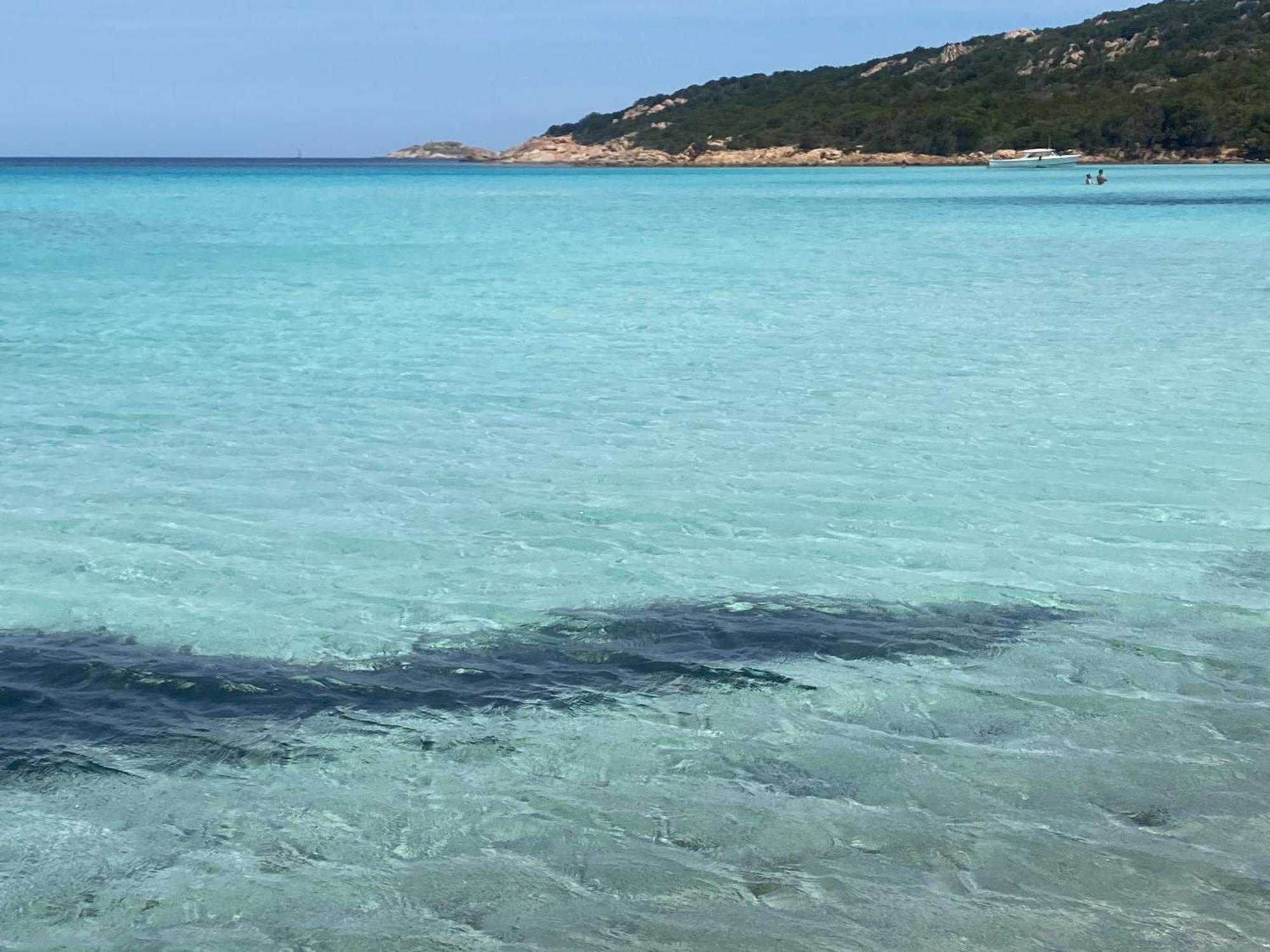 Casa Stella Residence Ea Bianca Baja Sardinia Zewnętrze zdjęcie